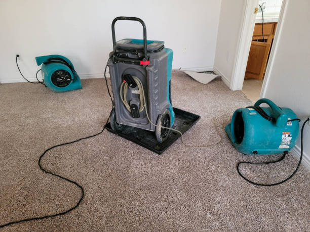 Carpet water damage restoration in Wildwood, FL