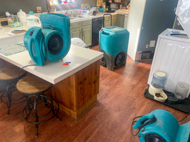 Best Carpet water damage restoration  in Wildwood, FL