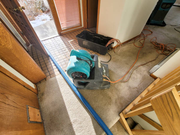 Best Professional water damage repair  in Wildwood, FL
