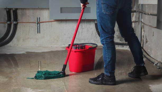 Best Fire Damage Restoration  in Wildwood, FL
