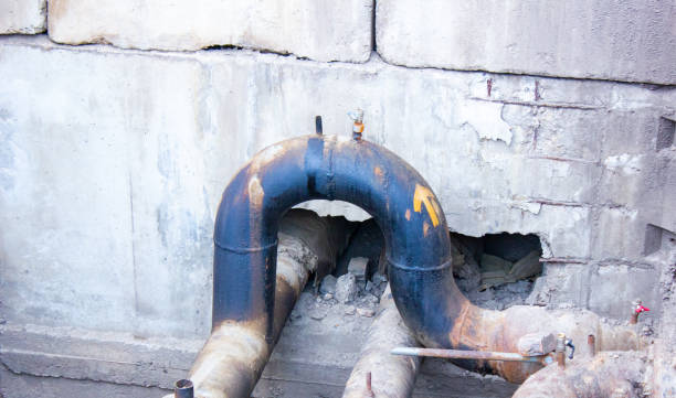 Best Water damage restoration process  in Wildwood, FL