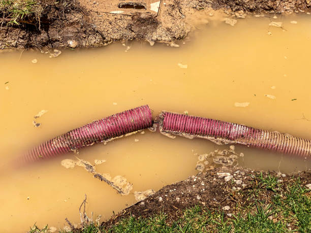 Sewage cleanup and water damage restoration in Wildwood, FL
