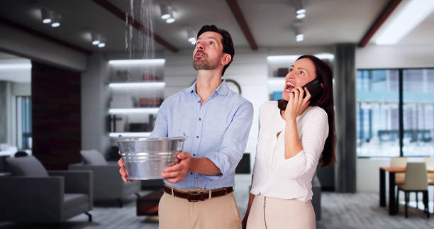 Best Flood damage cleanup  in Wildwood, FL