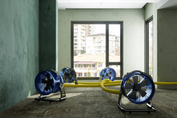 Best Commercial water damage restoration  in Wildwood, FL