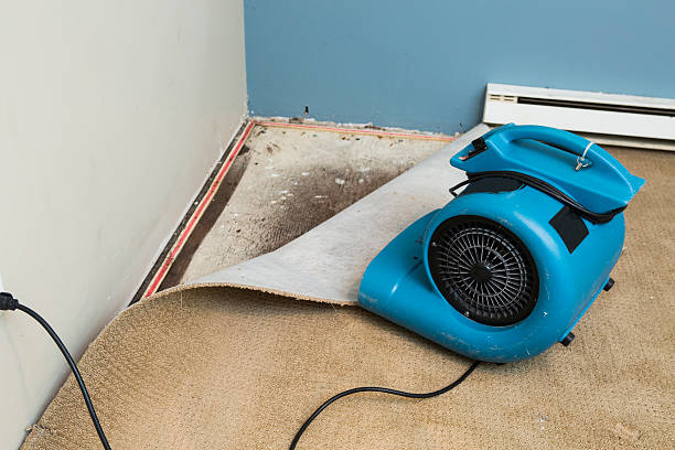 Best Sewage cleanup and water damage restoration  in Wildwood, FL